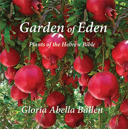 Garden of Eden